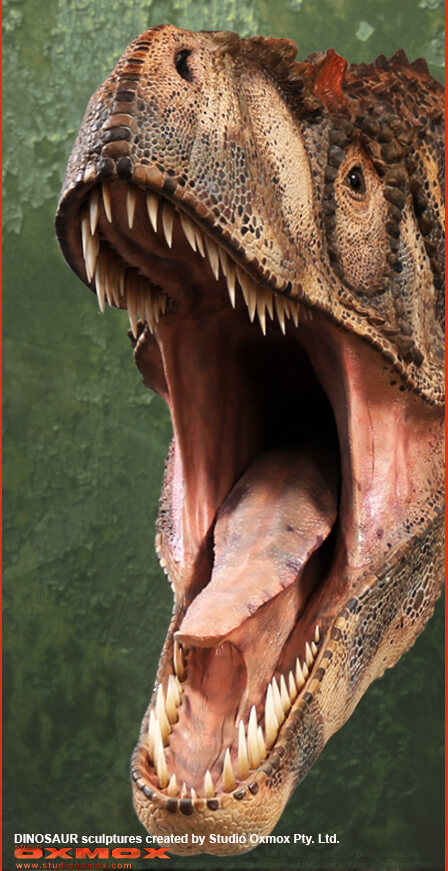 Allosaurus Bust, life-sized dinosaur sculpture created by Studio Oxmox