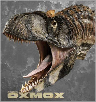 Allosaurus life sized sculpture, realistic dinosaur bust, sculpted by Studio Oxmox