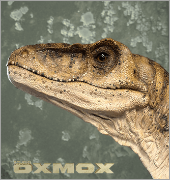 Deinonychus dinosaur sculpture, Raptor close mouth version dinosaur, life sized  realistic, sculpted by Studio Oxmox