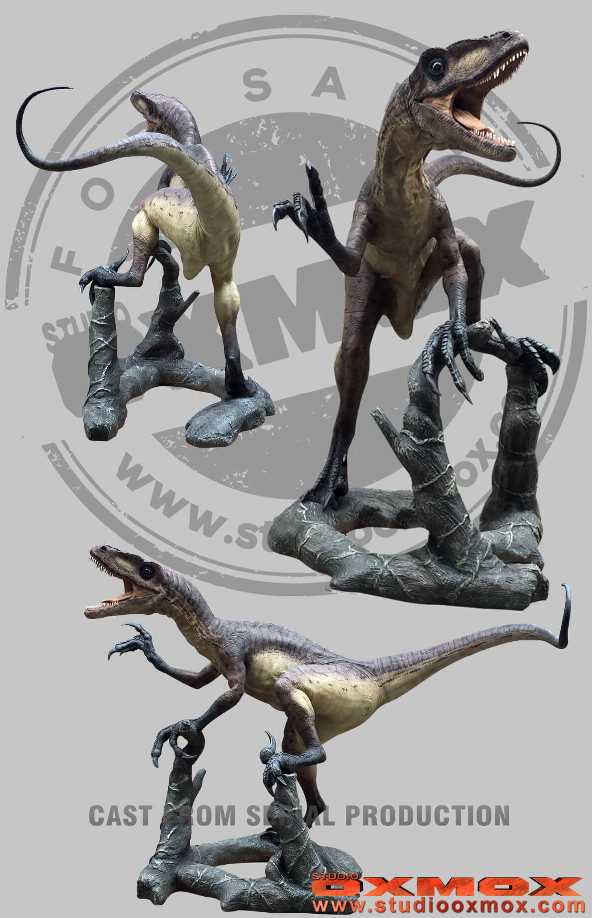 Deinonychus, Raptor dinosaur open mouth statue sculpted by studio
