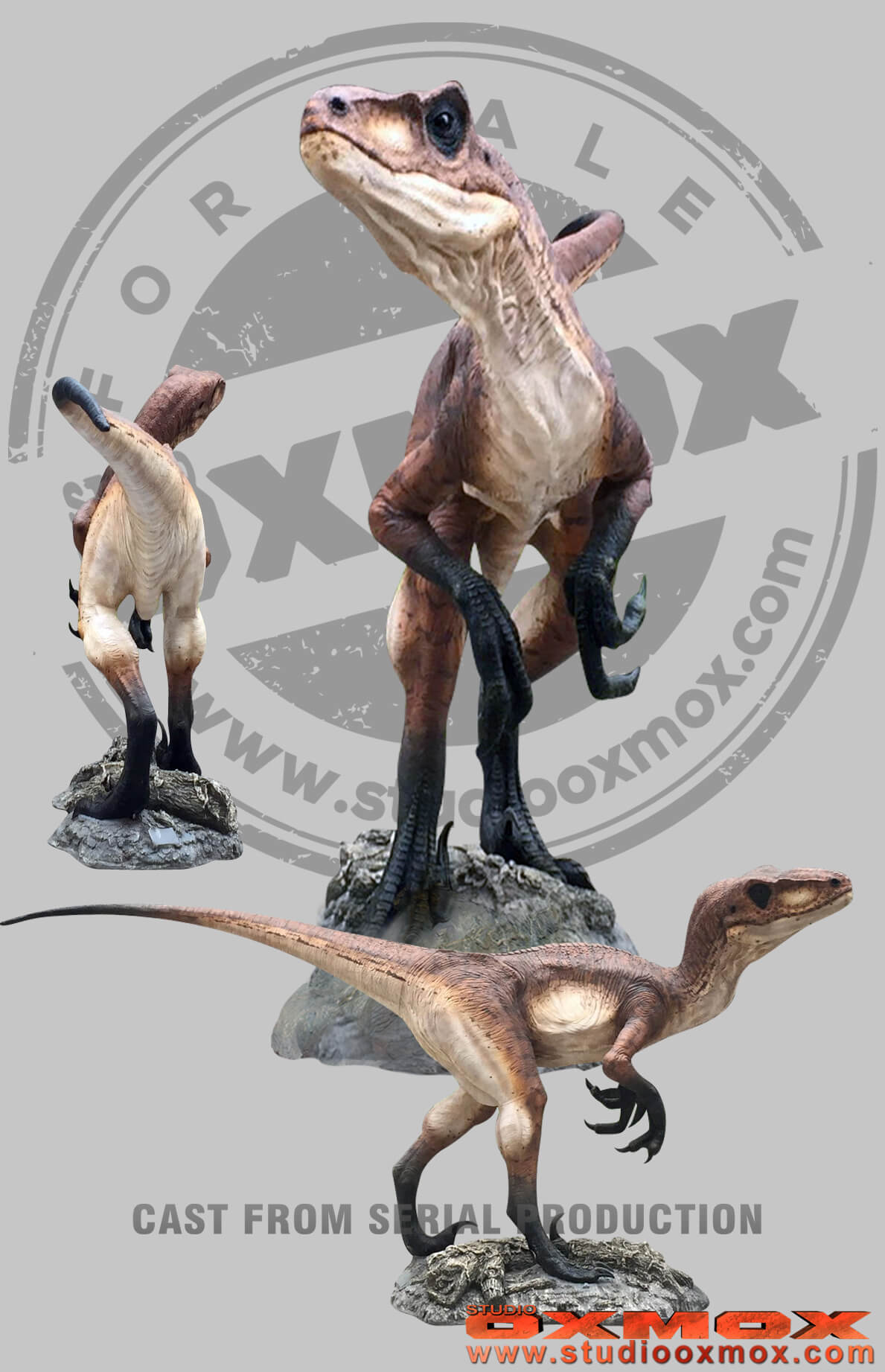 Deinonychus, Raptor dinosaur close mouth statue sculpted by studio