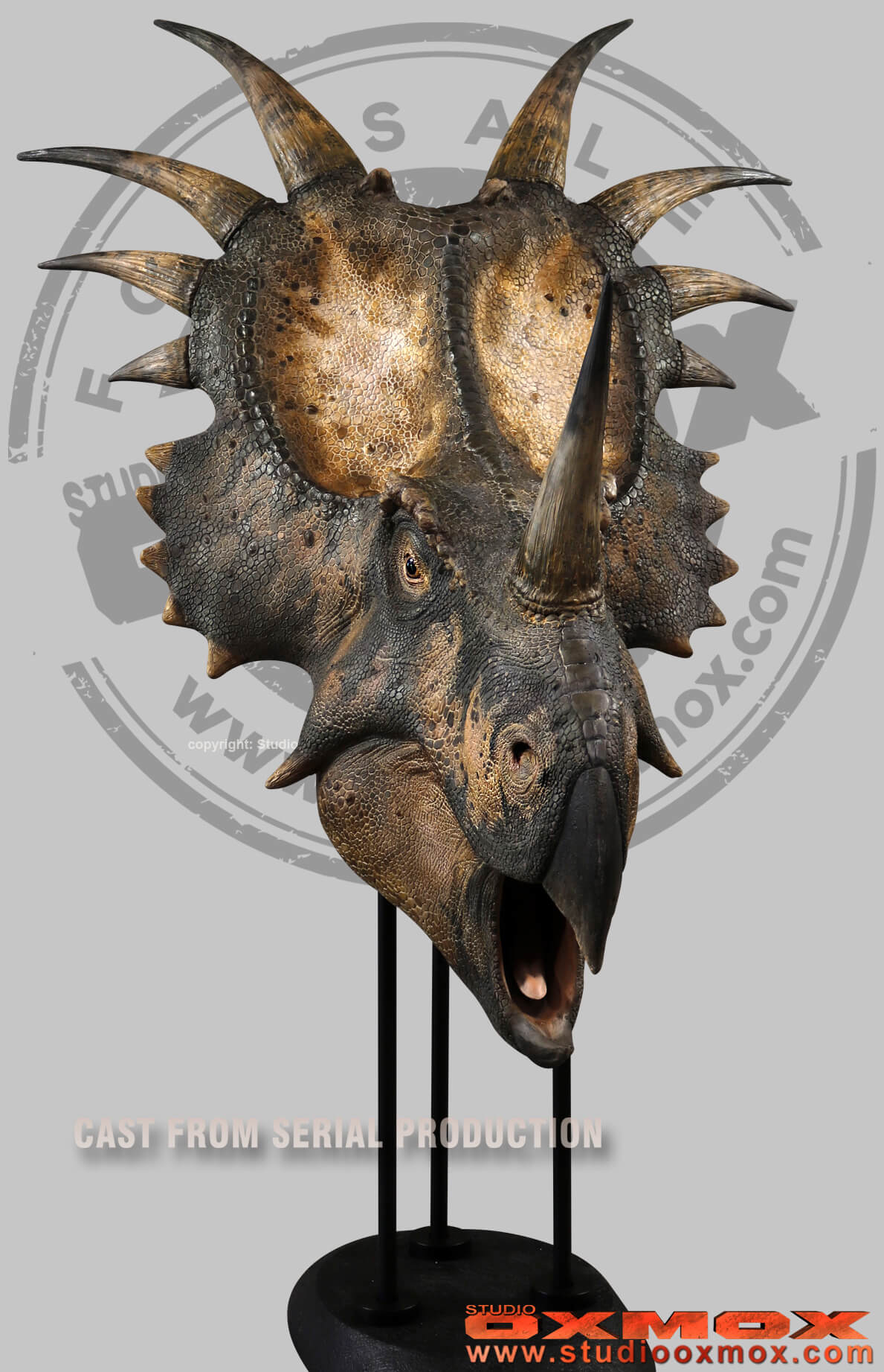Styracosaurus dinosaur sculpted by studio oxmox