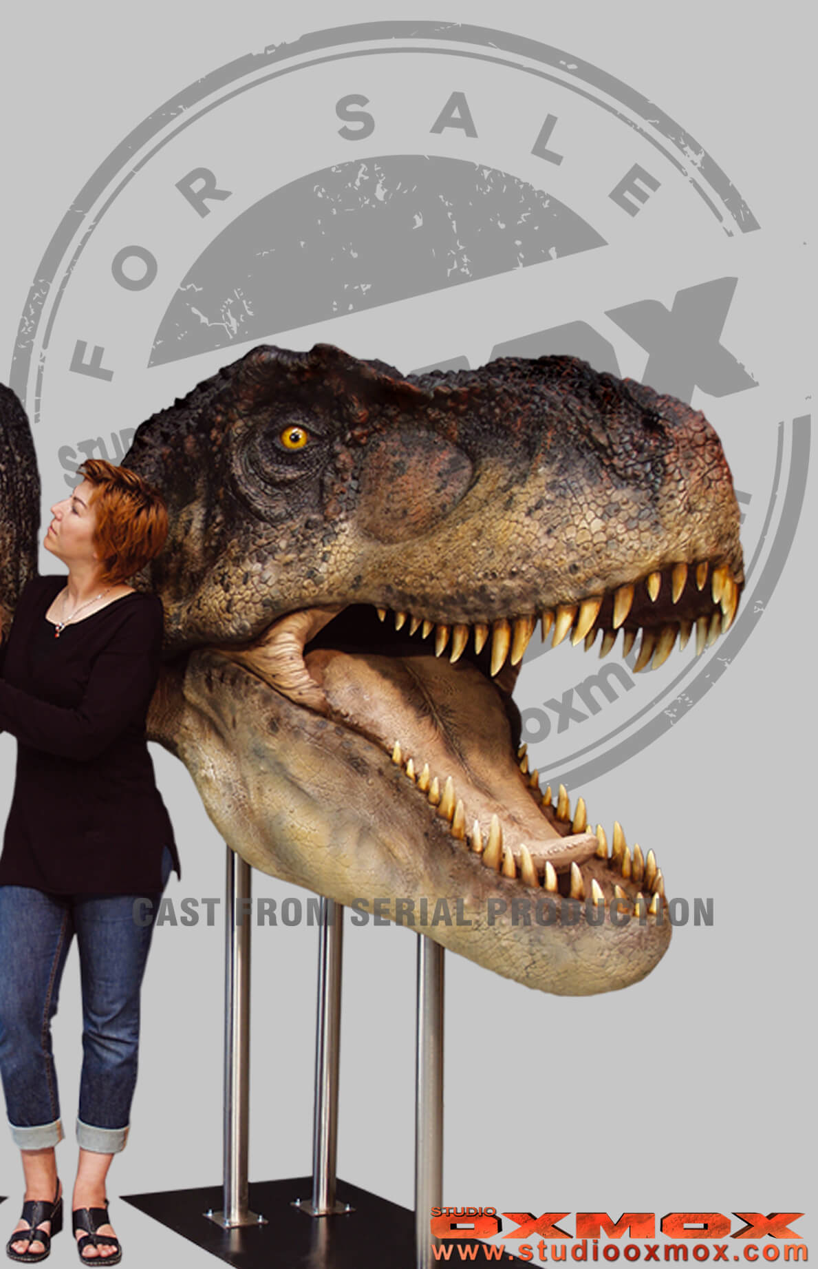 Tyrannosaurus bust life size for sale sculpted by studio oxmox